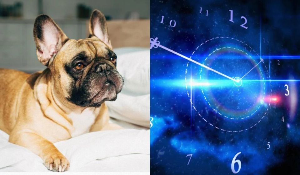 ����� ������� ��������� �������� �������� ������ ����� �������?