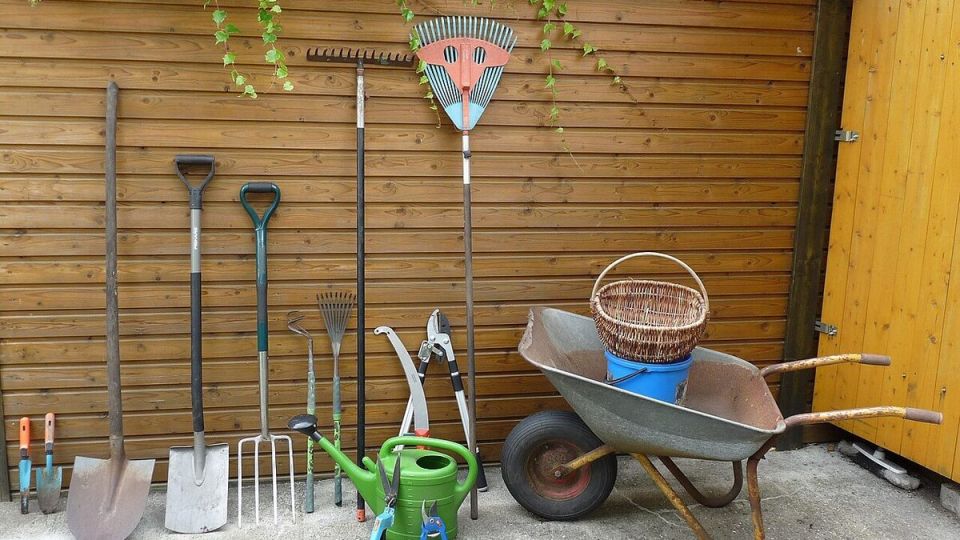 Как выбрать идеальные вилы для работы в саду и огороде
