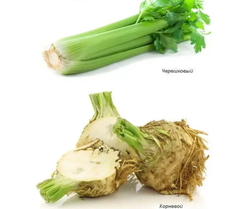 ��� ��������� ���������: ������� ������� ��������� � ����������� �����